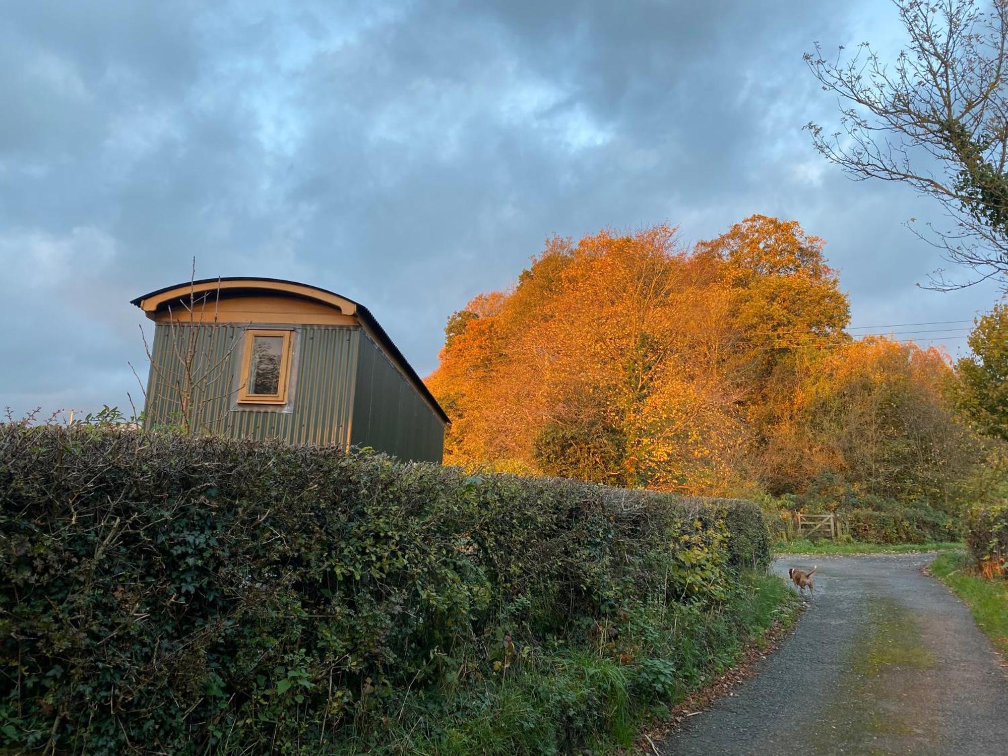 Hotel Woody'S Retreat à Bolton by Bowland Extérieur photo